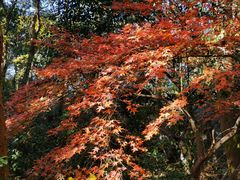 -城隍阁