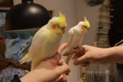 -Zoolung Zoolung动物主题公园(海信广场店)