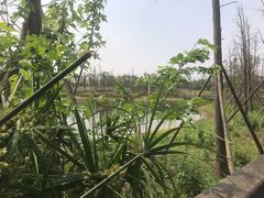 -三圣花乡旅游区