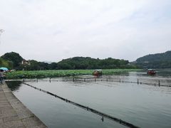 -柳浪闻莺公园