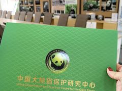 -都江堰中华大熊猫苑