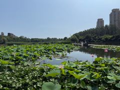 -前关湿地公园