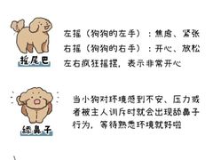 -瑞鹏宠物医院犬猫全科(真大分院)