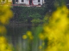 -新安江山水画廊风景区