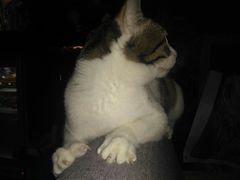 -蜉蝣酒吧(仓山万达店)