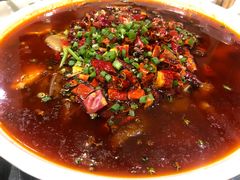 毛血旺-庆合府重庆大排档(紫都城店)