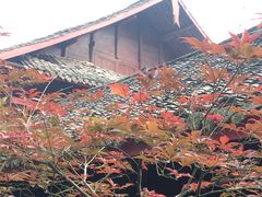-荣生萝卜汤饭店