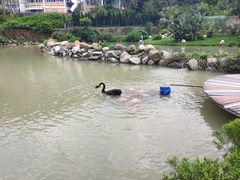 -石排湾郊野公园
