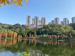 -重庆彩云湖湿地公园