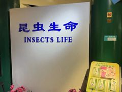 -上海昆虫博物馆