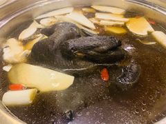 乌鸡锅底-太婆天府山珍酒楼(亚运村店)