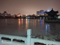 -莲花池公园
