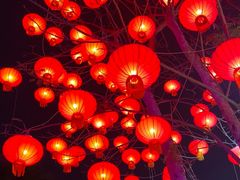 -万绿园