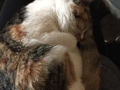 -赢吧Bliss音乐酒吧