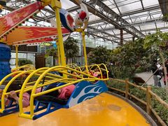 -南宫五洲植物乐园