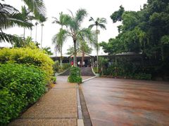 -热带雨林自然公园