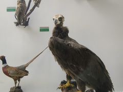 -盐城丹顶鹤湿地生态旅游区