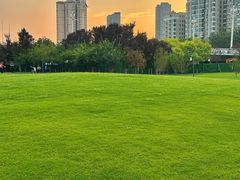 -咸阳湖景区-古渡公园