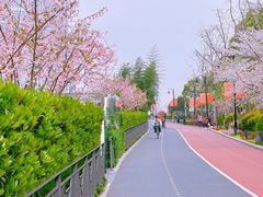 -北外滩滨江绿地