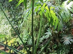 -森味薪火烧•烧鸟居酒屋•日本料理(望京店)