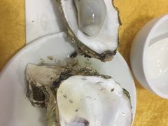 -蚝专家(北滘店)