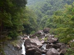 -花岩国家森林公园