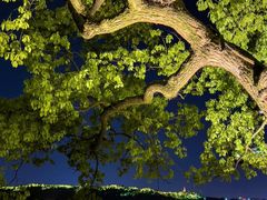 -杭州西湖东坡酒店