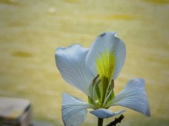 -南丰汇(新港东路店)