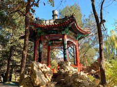 -宣武艺园