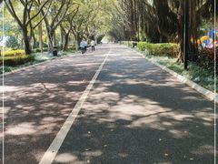 -南宁南湖公园