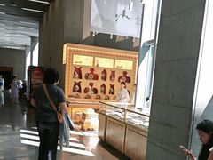 -云南省博物馆