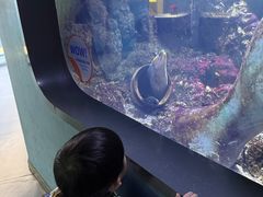 -重庆欢乐海底世界