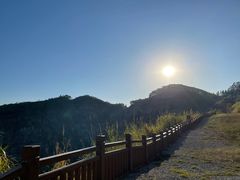 -黄埔油麻山森林公园