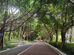 -南宁南湖公园
