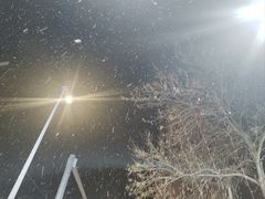 -水泊梁山清真铁锅炖鱼(华苑店)