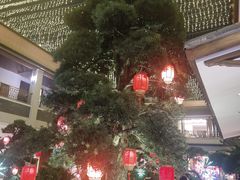 -聚福宝合苑食府(南头镇店)