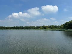 -溱湖国家湿地公园