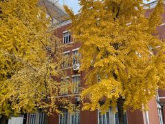 -四川大学(望江校区)