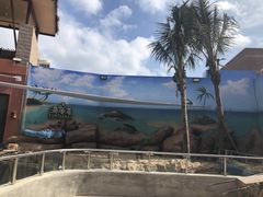 -南海渔家•海鲜•正宗海南菜(海棠湾店)