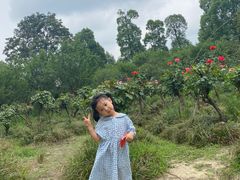 -白鹭湾湿地公园