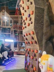 -卡通尼·Safari非洲探索乐园·生日会(金桥国际商业广场店)