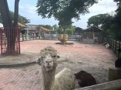 -苏州太湖西山岛开心农场