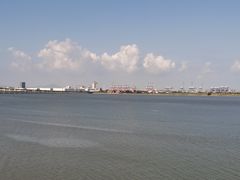-大湾区中央湿地公园