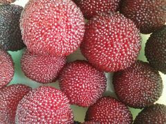 -临武万客隆国际购物广场(晴岚路店)