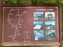 -大岭沟猕猴桃谷风景区