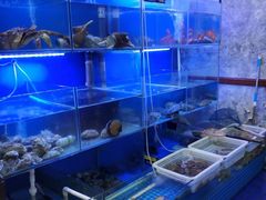 -金龙·打边炉(武进路店)