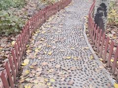 -仁和公园(顺义区)