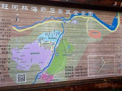 -汤旺河林海奇石景区