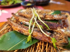 -大江户日本料理(吕厝店)
