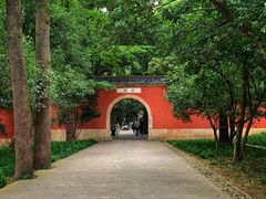 -灵谷景区